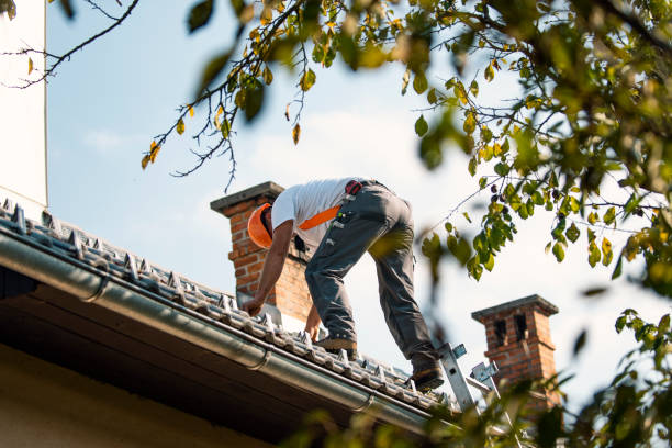 Best Flat Roof Repair Services  in Athens, IL