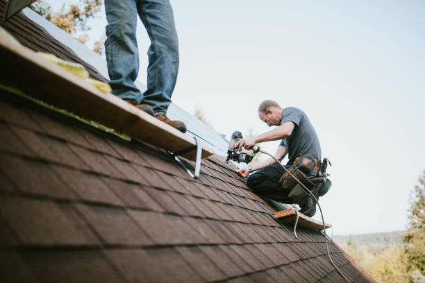 Best Metal Roofing Contractor  in Athens, IL